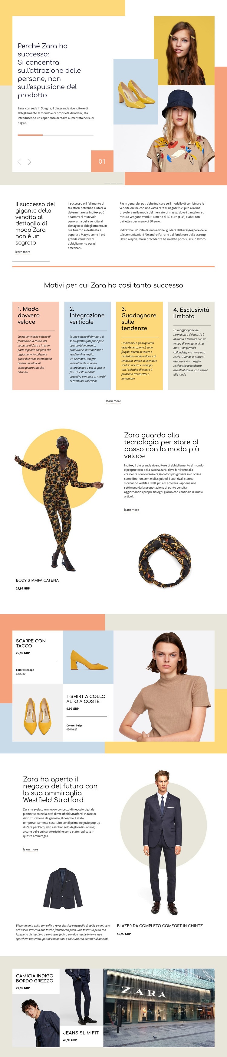 Zara Success Mockup del sito web