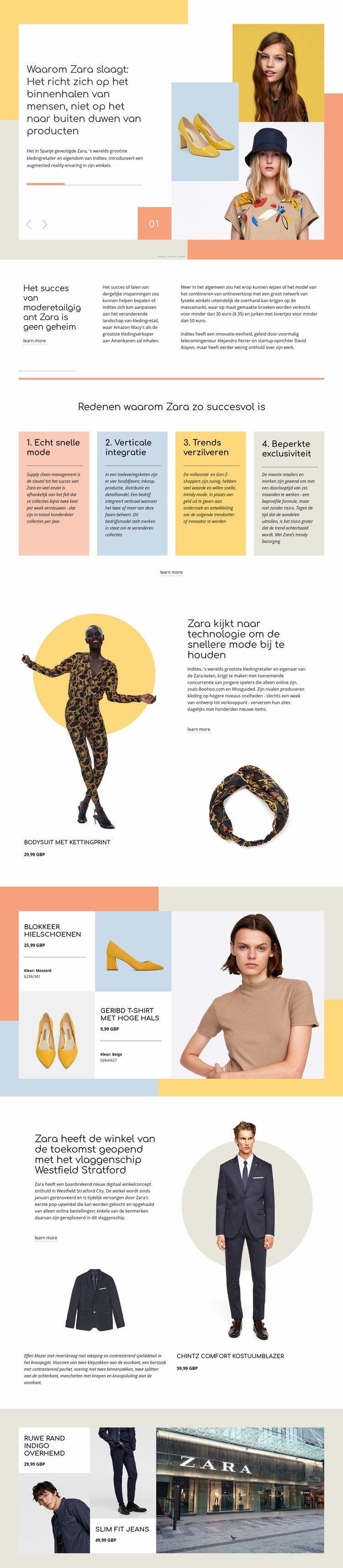 Zara Succes Website mockup