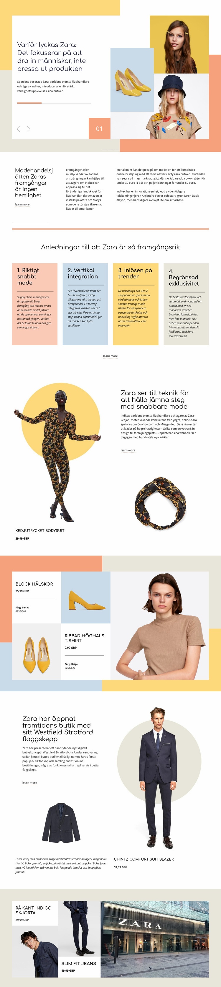 Zara Framgång CSS -mall