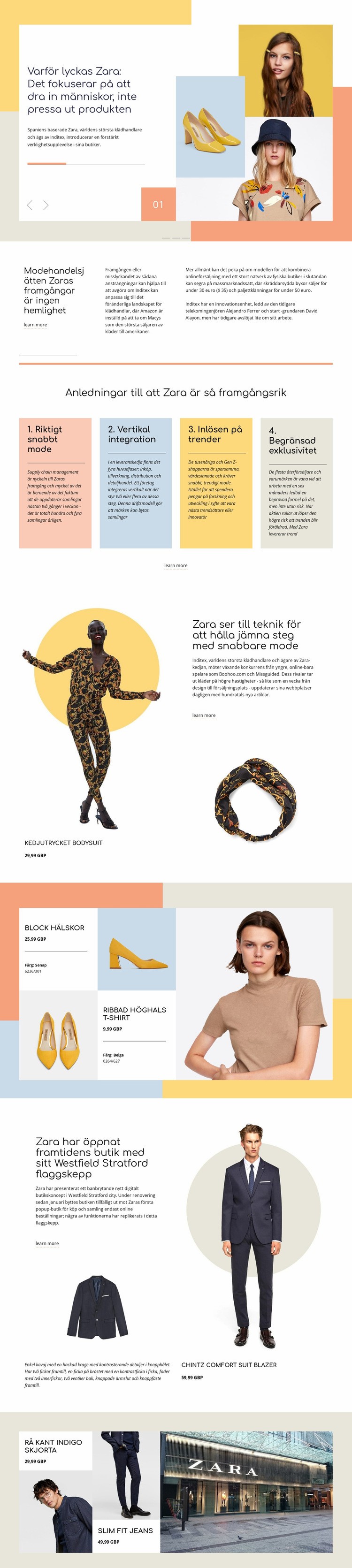 Zara Framgång Webbplats mall