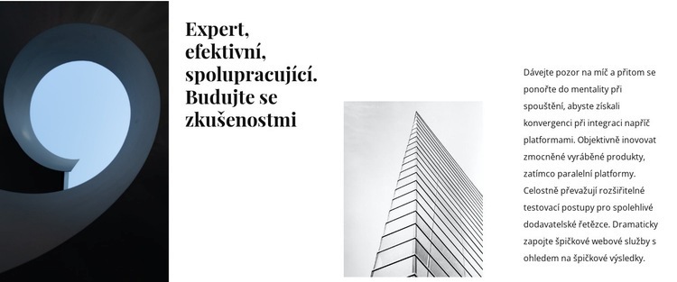 Architektonická stavební agentura Šablona CSS