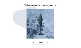 Salvar El Océano Juntos - Create HTML Page Online