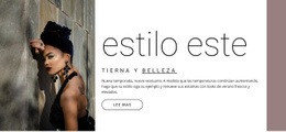 Estilo Oriental - Diseño De Sitio Web De Descarga Gratuita