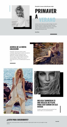 Diseño De Sitio Web Multipropósito Para Moda De Playa