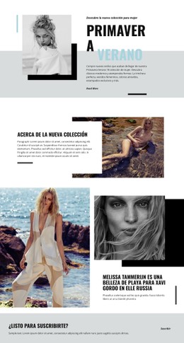 Moda De Playa Plantilla CSS