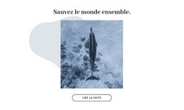 Mise En Page Pour Sauver L'Océan Ensemble
