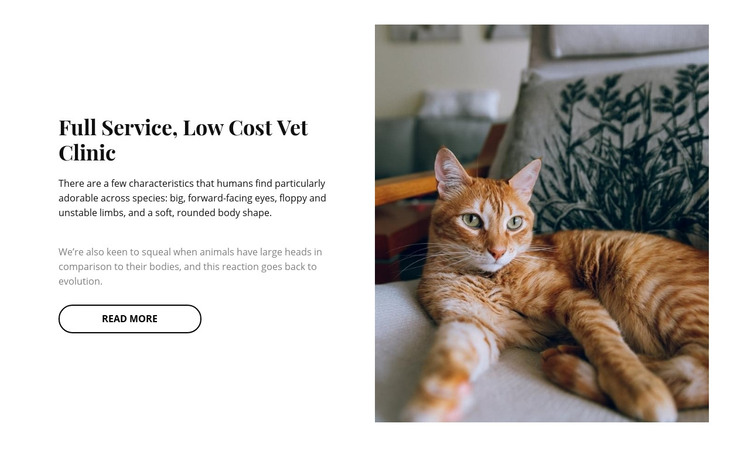 Innovation pets clinic Homepage Design