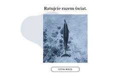 Ratujmy Razem Ocean - Darmowy Szablon