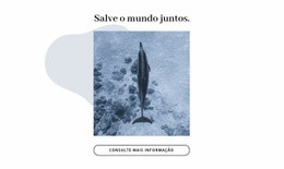 Salve O Oceano Juntos - Construtor De Sites Fácil De Usar