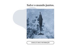 Salve O Oceano Juntos - Página De Destino