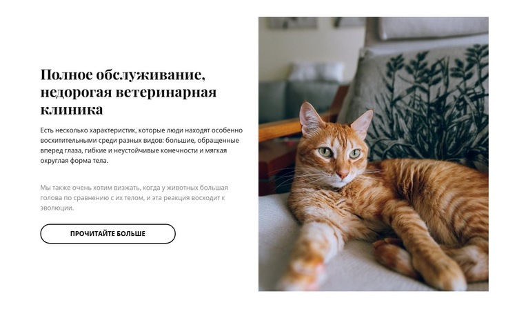 Инновационная клиника для домашних животных Конструктор сайтов HTML