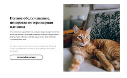 Инновационная Клиника Для Домашних Животных – Загрузка HTML-Шаблона