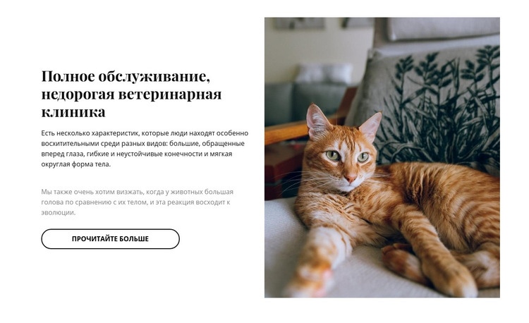 Инновационная клиника для домашних животных HTML шаблон