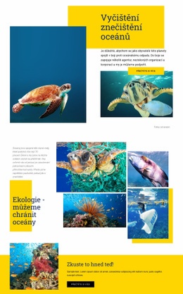 Chraňte Oceány – Šablona Stránky HTML