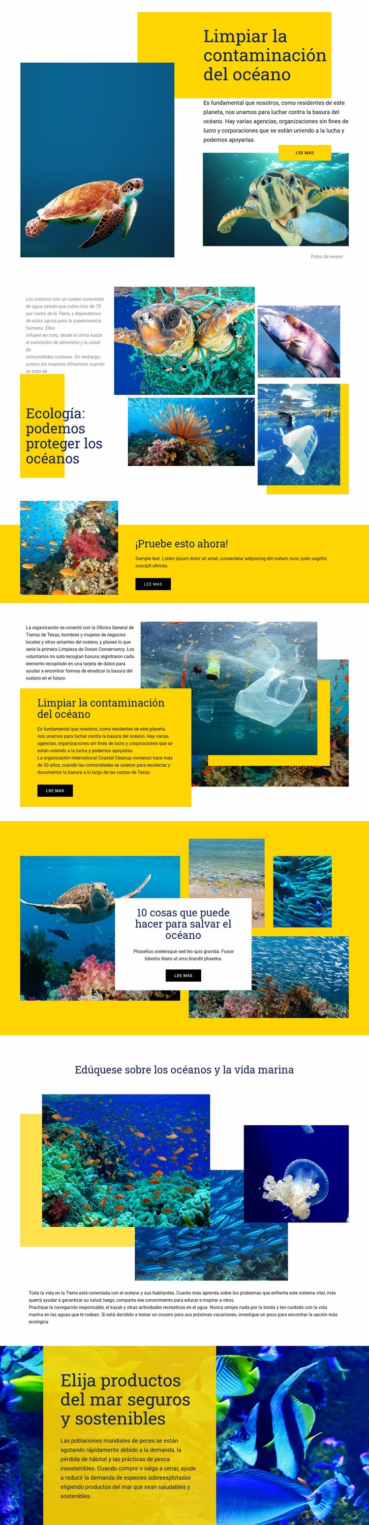 Protege los océanos Maqueta de sitio web