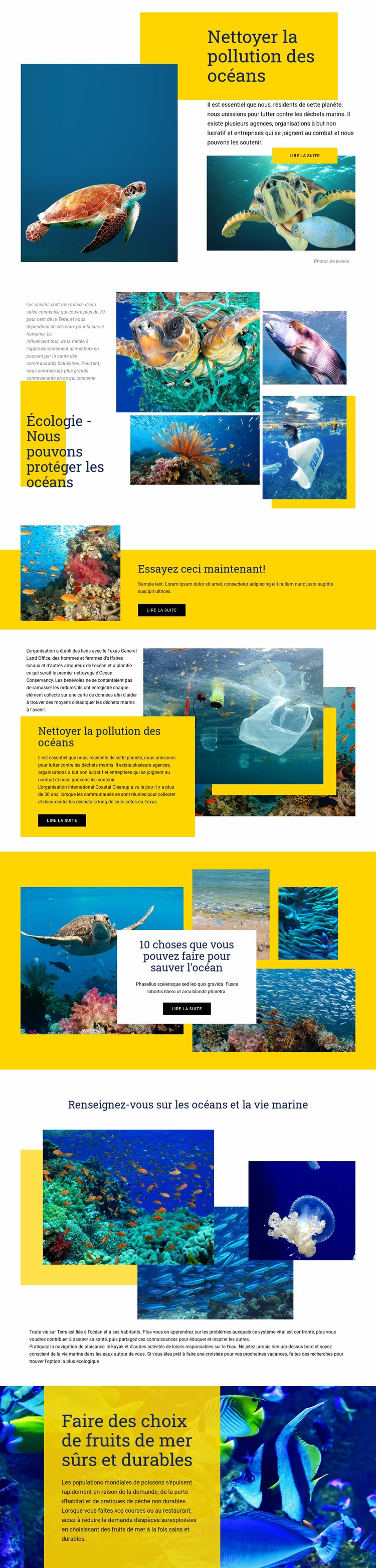 Protégez les océans Créateur de site Web HTML