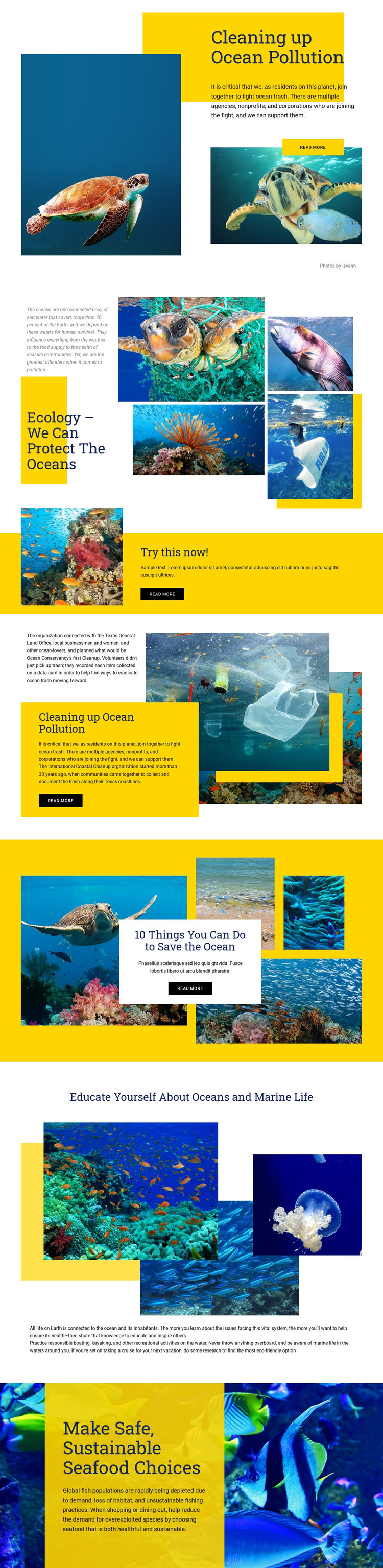 Protect The Oceans Homepage Design