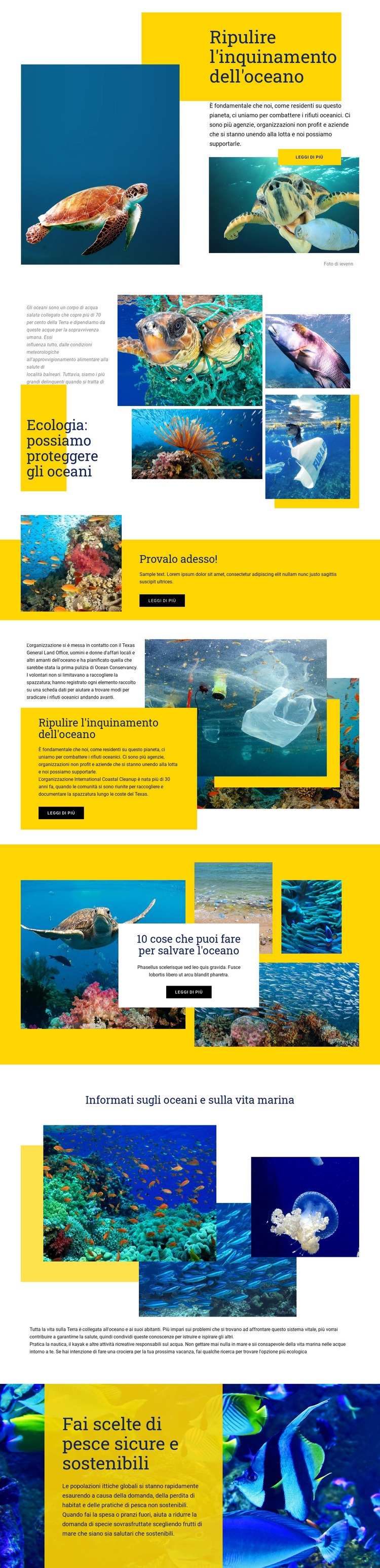 Proteggi gli oceani Costruttore di siti web HTML