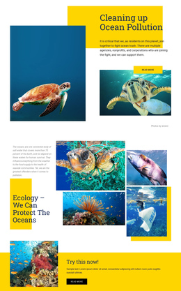 Protect The Oceans One Page Template
