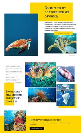 Защитите Океаны Шаблон Веб-Сайта Html