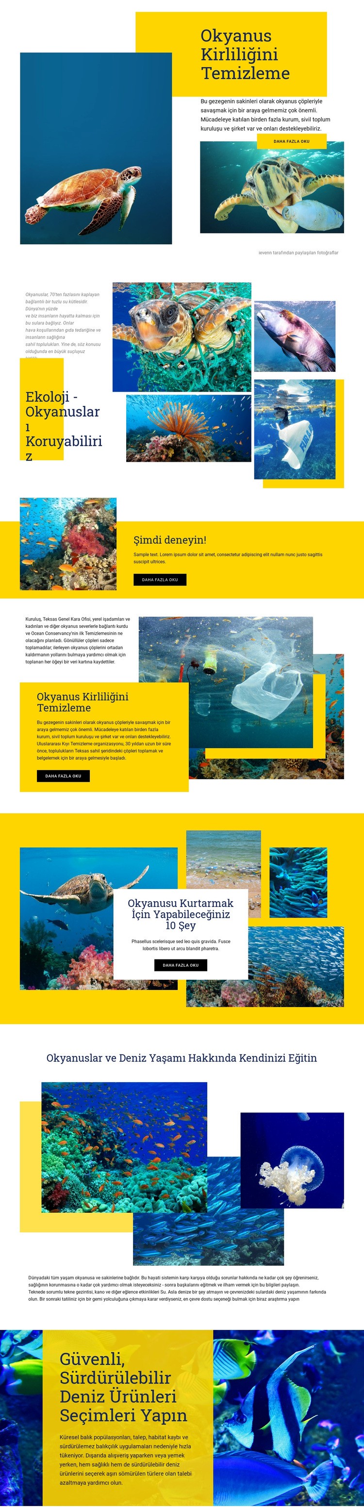 Okyanusları Koruyun Web Sitesi Mockup'ı