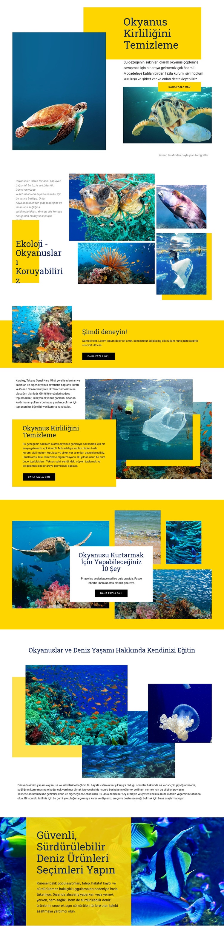 Okyanusları Koruyun Web sitesi tasarımı