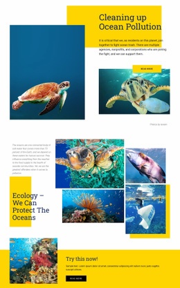 Protect The Oceans Template HTML CSS Responsive
