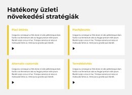 Gyors Növekedési Stratégia Weboldal Sablon