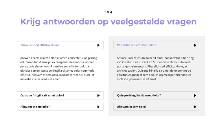 Vragen in twee kolommen Website sjabloon