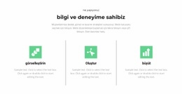 Ana Adımlar - Profesyonel Web Sitesi Maketi