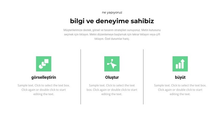 Ana adımlar Web Sitesi Mockup'ı