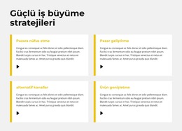 Hızlı Büyüme Stratejisi Web Sitesi Şablonu