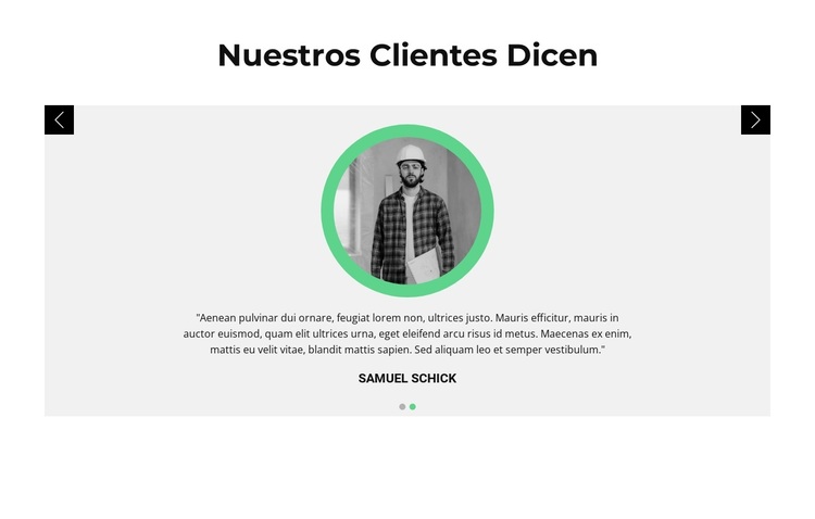 Opiniones sobre el cliente Tema de WordPress