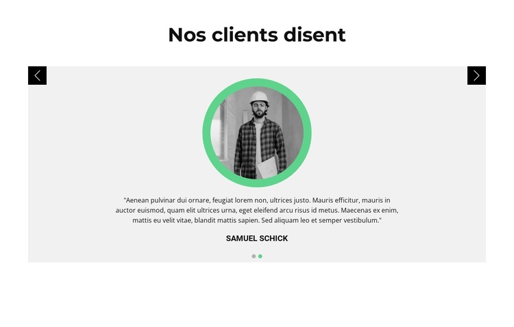 Avis sur le client Thème WordPress