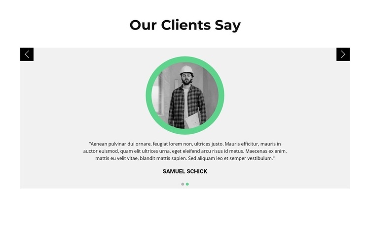 Opinions about the customer Squarespace Template Alternative