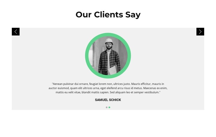 Opinions about the customer WordPress Theme