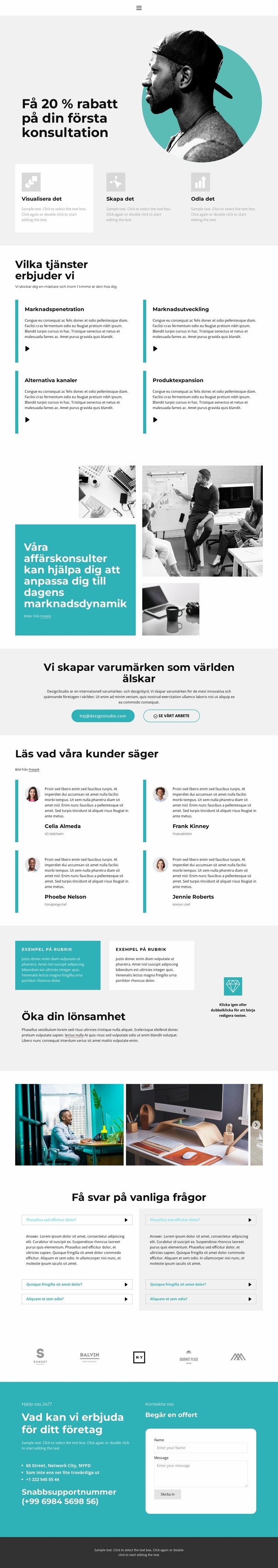 Samråd med en expert CSS -mall