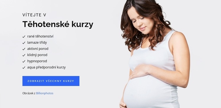 Těhotenství porod a dítě Šablona CSS