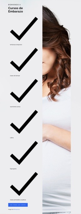Embarazo Nacimiento Y Bebe: Maqueta De Sitio Web Adaptable