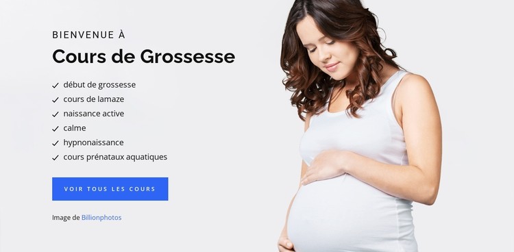 Grossesse naissance et bébé Modèle CSS