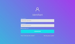 Identifiant - Modèle HTML Simple