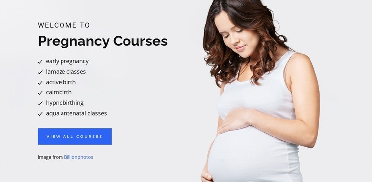 Pregnancy birth and baby Homepage Design