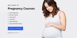 Pregnancy Birth And Baby - HTML Website
