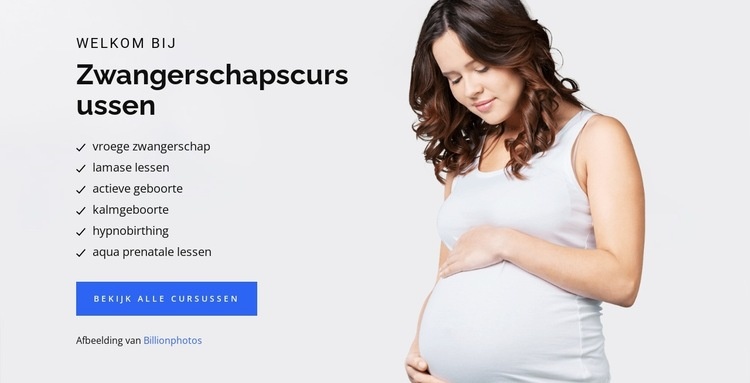 Zwangerschap geboorte en baby HTML5-sjabloon