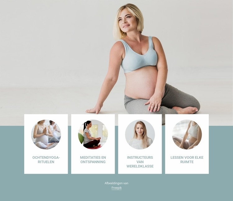 Top zwangerschapscursussen Website ontwerp