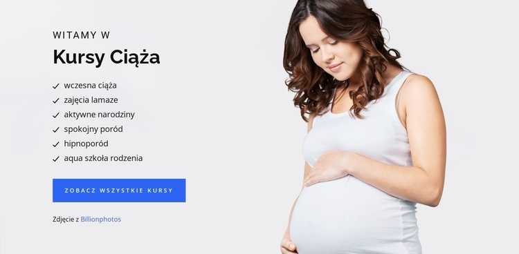 Ciąża narodziny i dziecko Makieta strony internetowej