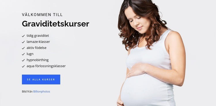 Graviditet födsel och bebis CSS -mall