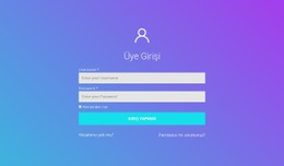 Üye Girişi Tablo CSS Şablonu