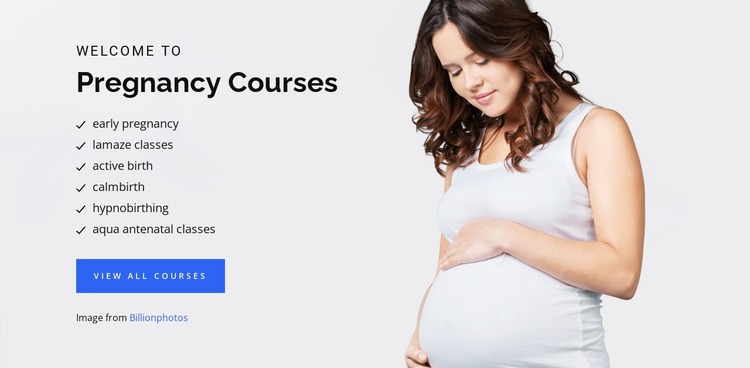 Pregnancy birth and baby Website Mockup
