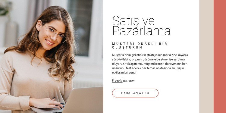 Satış ve Pazarlama WordPress Teması